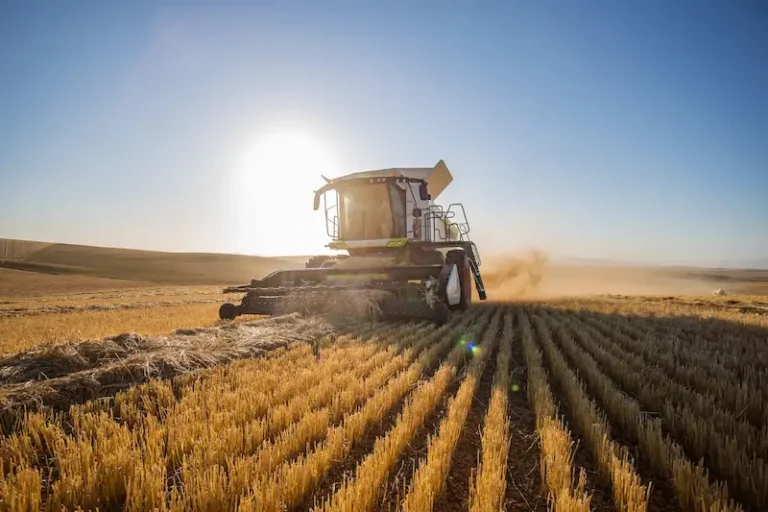 Decorative image to represent the agricultural industry